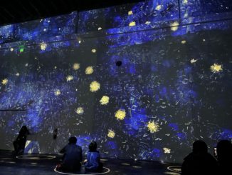Starry Night at the Immersive Van Gogh exhibit