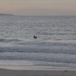 Del Monte Beach, Monterey